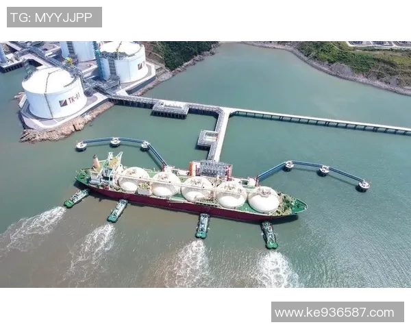 上海海港：探索这座现代化港口的历史与未来发展潜力